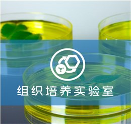 組織培養(yǎng)實(shí)驗室解決方案