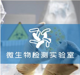 微生物檢測實(shí)驗室解決方案